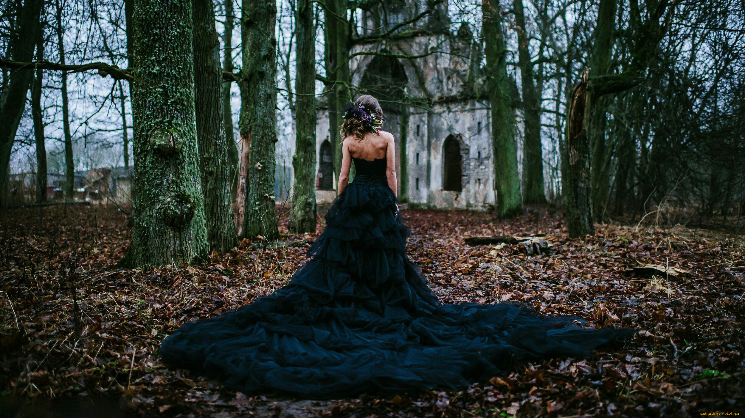 ,   , daria shy, , , daria, shy